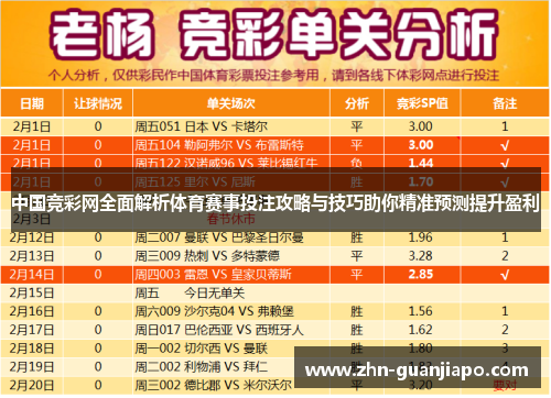 中国竞彩网全面解析体育赛事投注攻略与技巧助你精准预测提升盈利